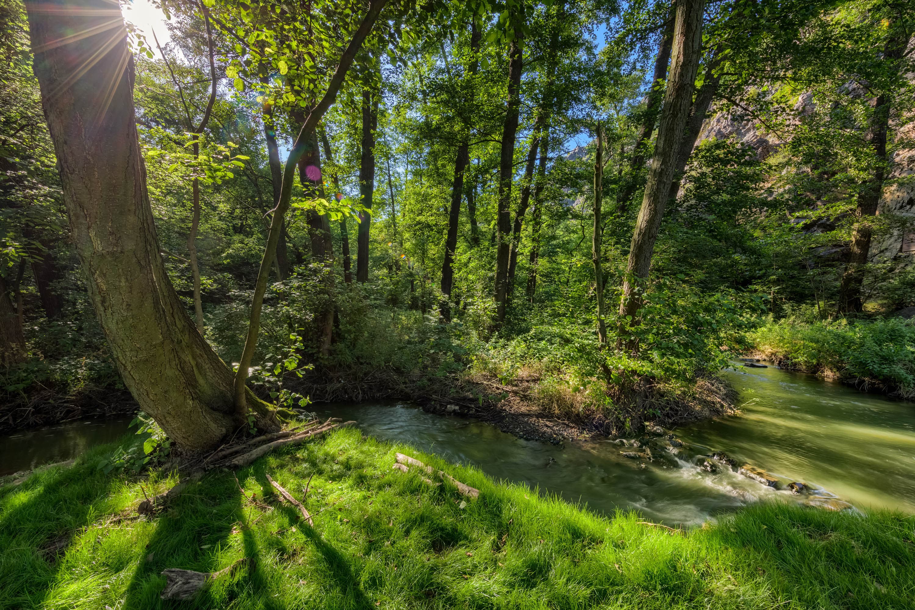 Referenční fotografie: atmosferia rerefernces 024.