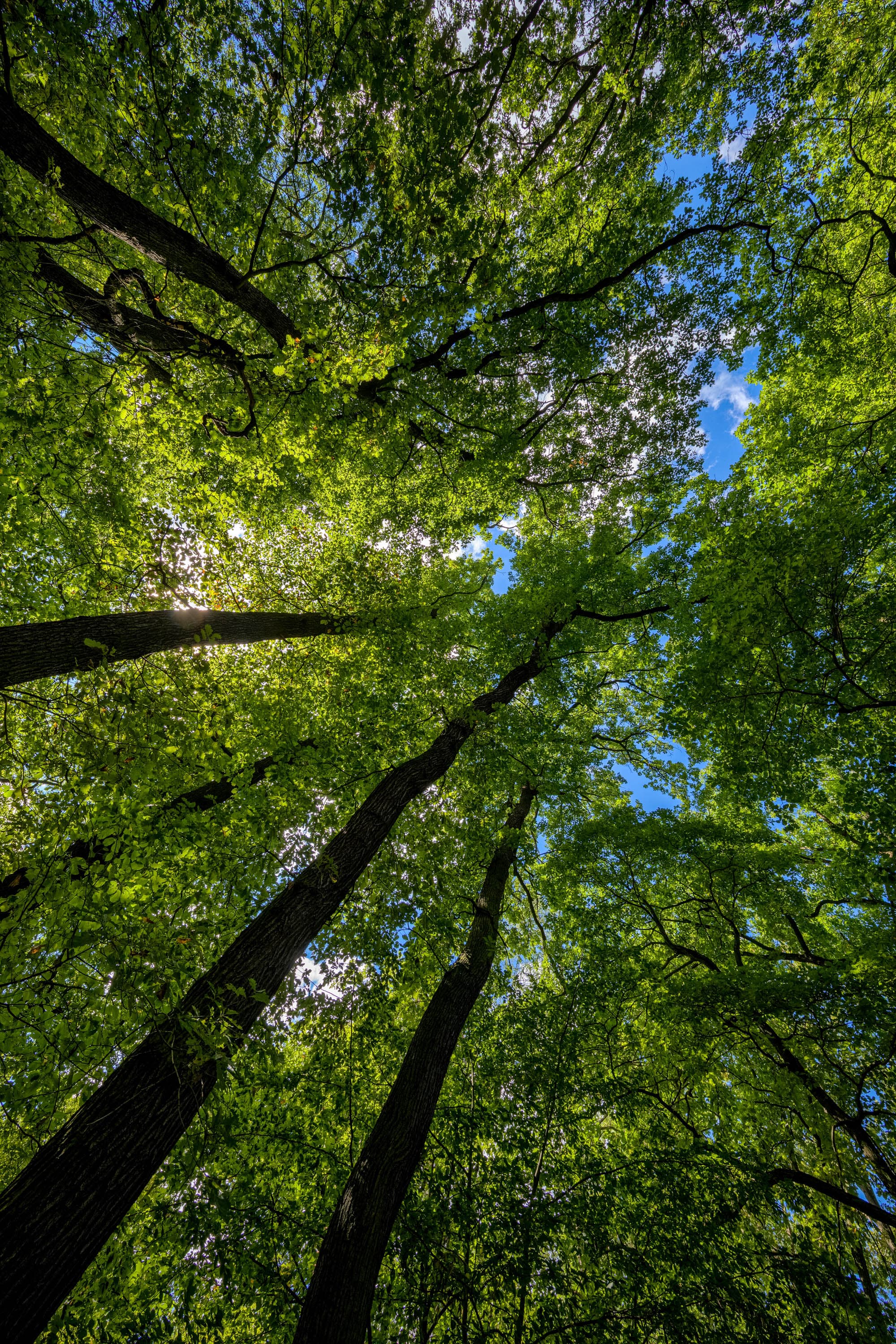 Referenční fotografie: atmosferia rerefernces 067.