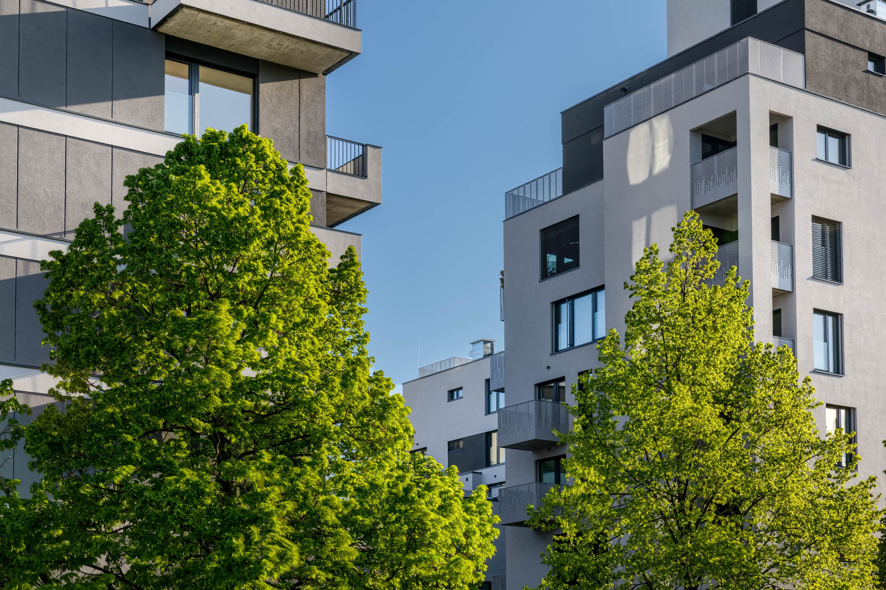 Referenční fotografie: atmosferia rerefernces 074.
