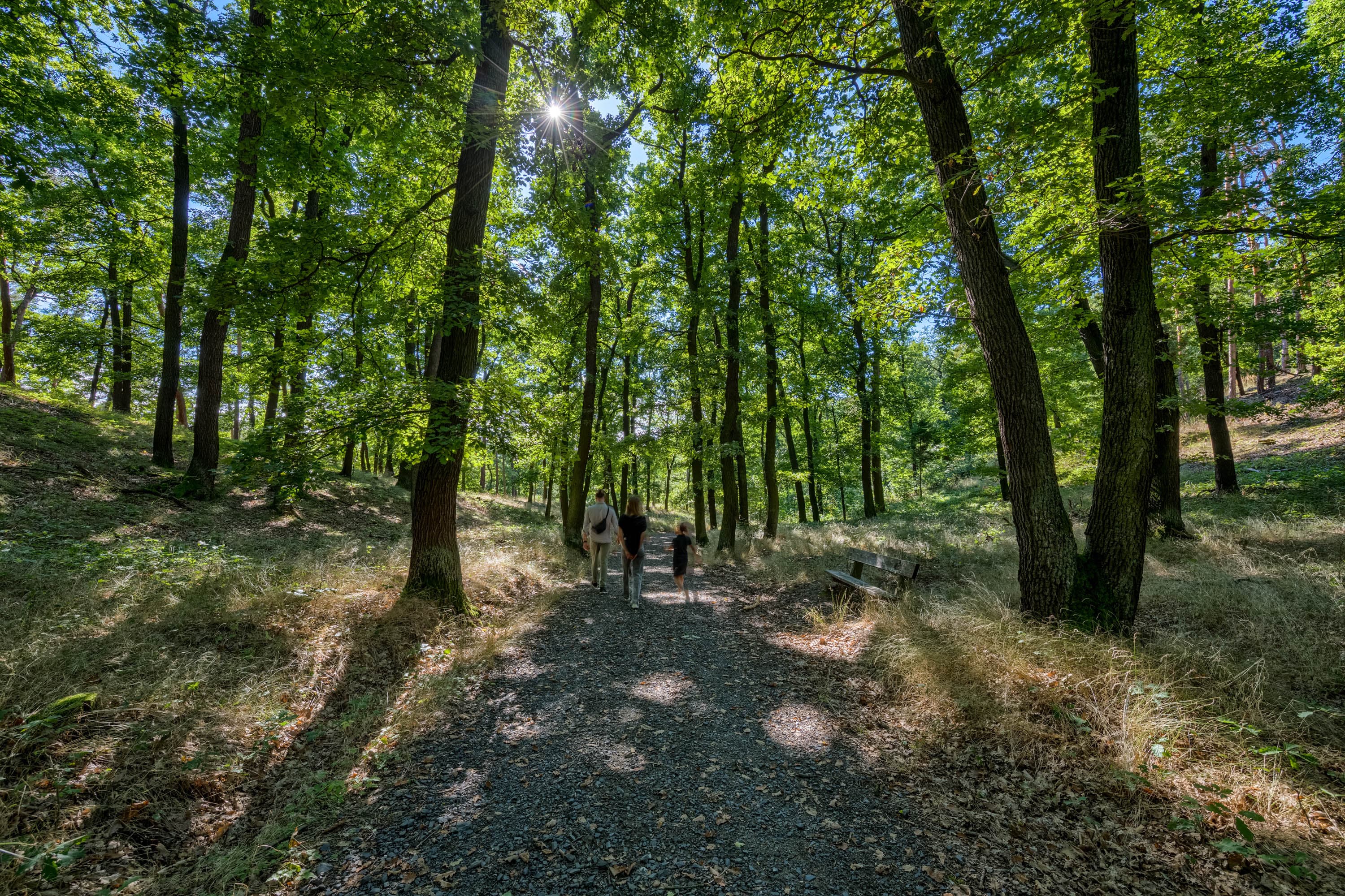 Referenční fotografie: atmosferia rerefernces 078.