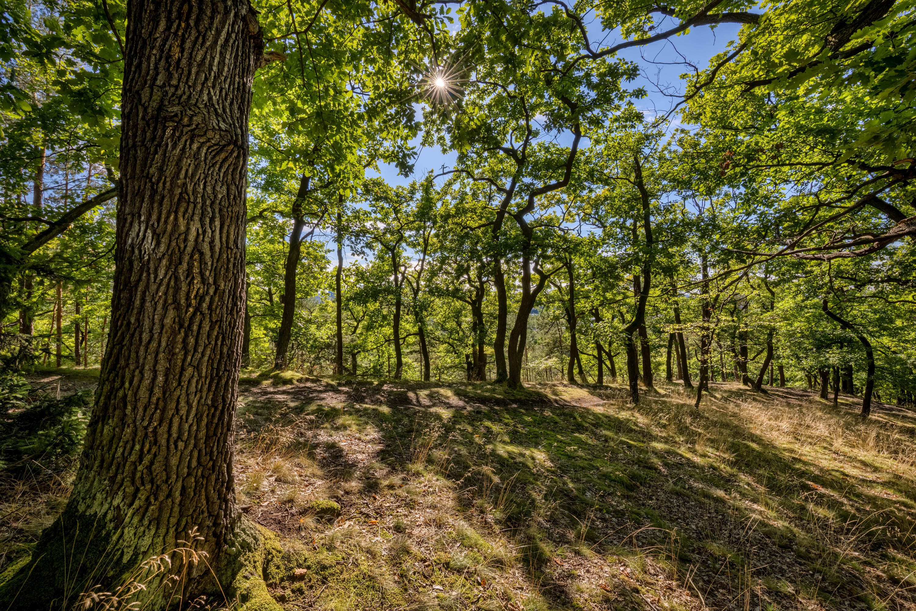 Referenční fotografie: atmosferia rerefernces 079.