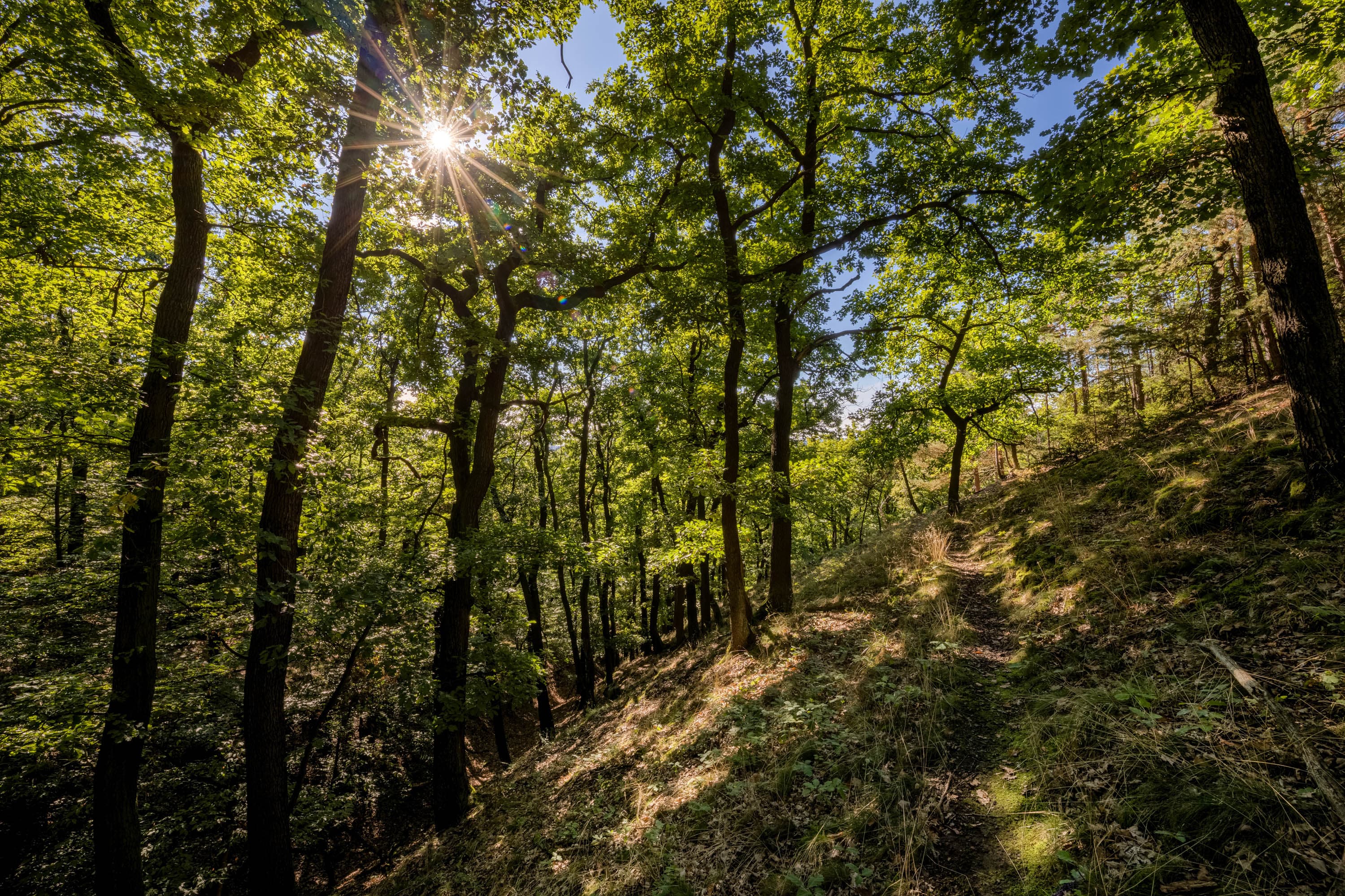 Referenční fotografie: atmosferia rerefernces 080.