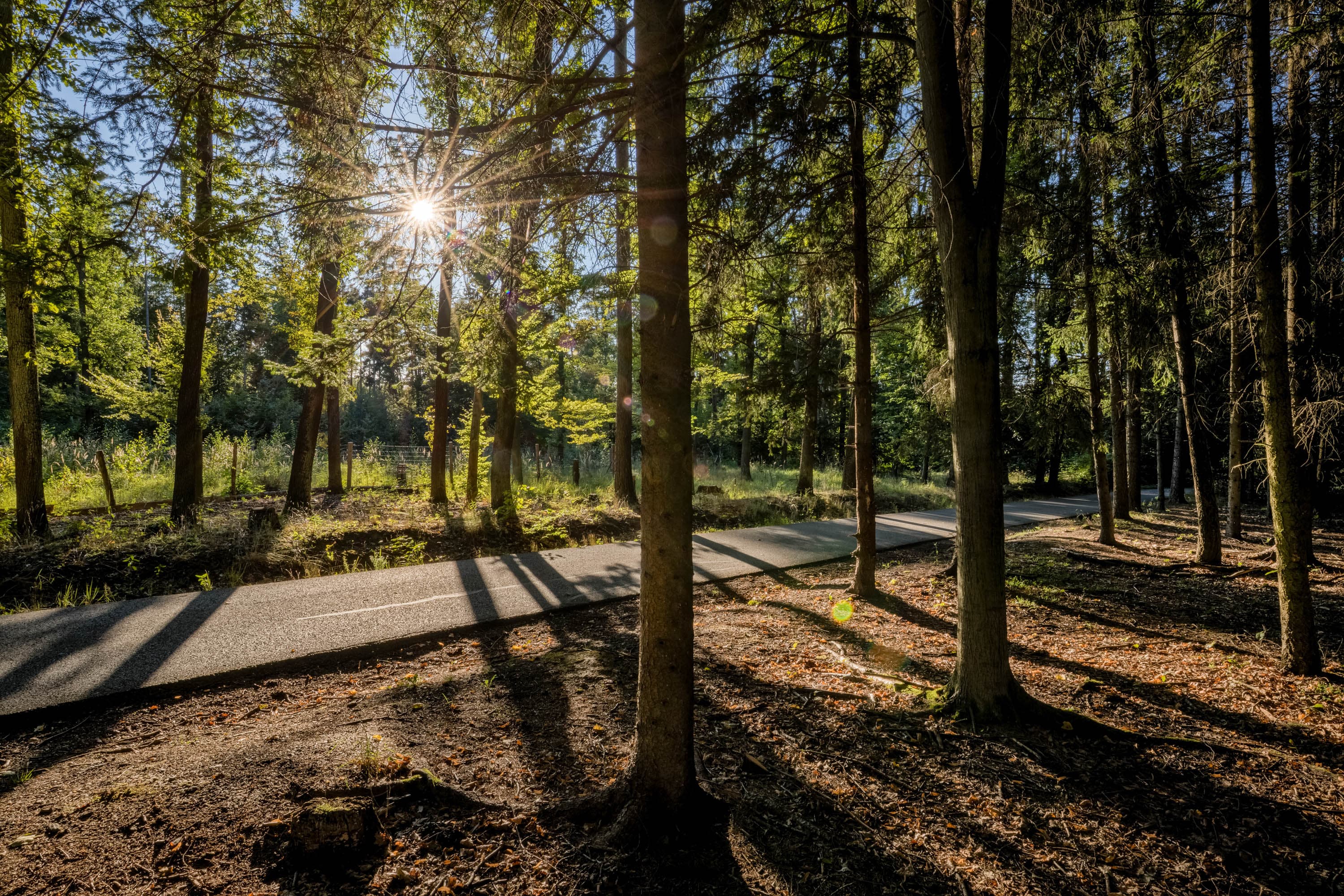 Referenční fotografie: atmosferia rerefernces 082.
