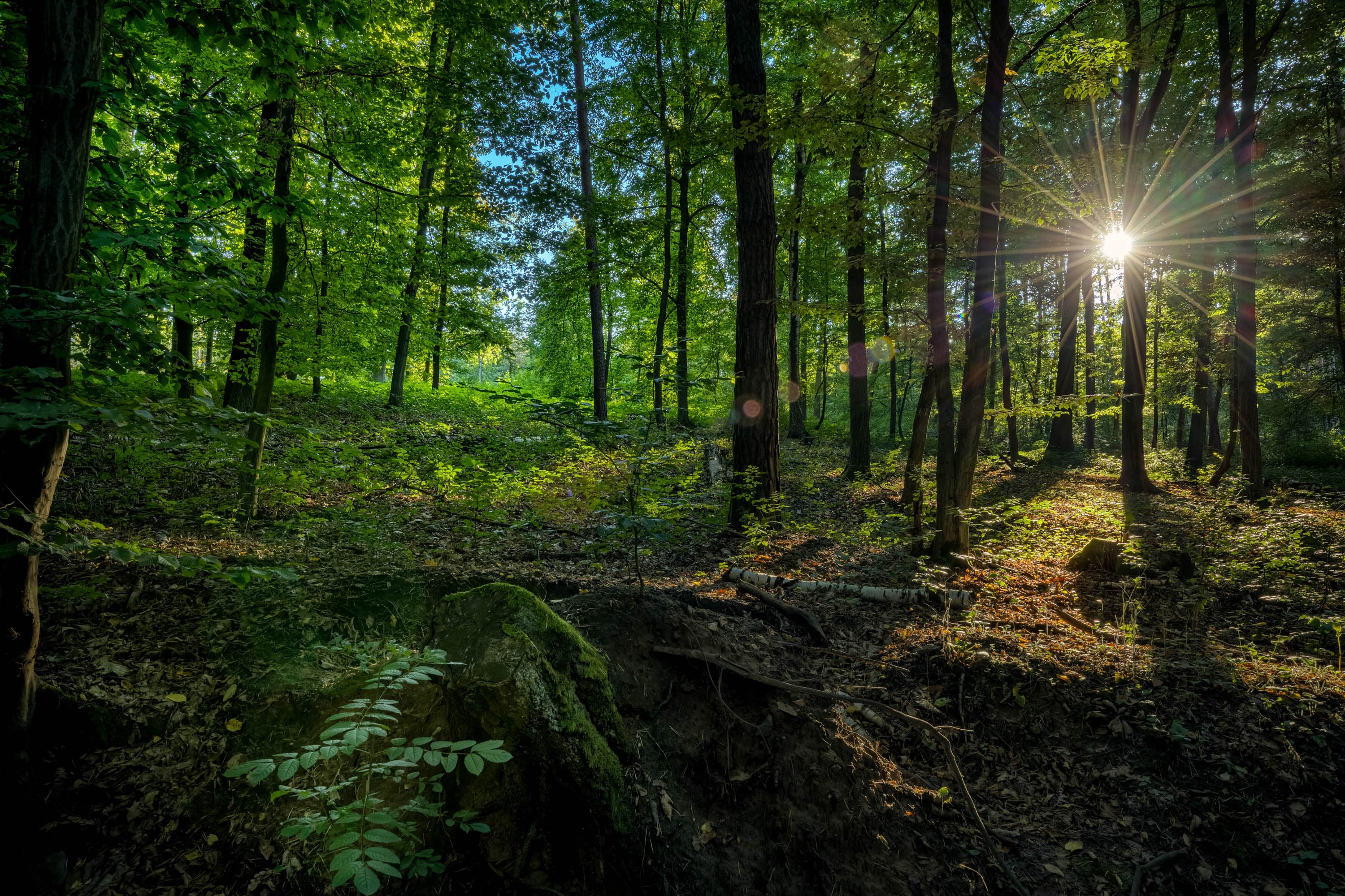 Referenční fotografie: atmosferia rerefernces 083.